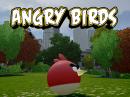 GTA 4: Witziger Mod mit den Angry Birds GTA 4: Witziger Mod mit den Angry Birds