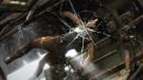 Tomb Raider: Neuer Patch verbessert die GPU-Performance