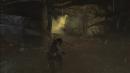 Tomb Raider: Neuer Patch verbessert die GPU-Performance