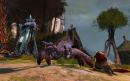 Guild Wars 2: Dauerhafte Preissenkung bestätigt