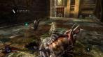 Pandora's Tower für Nintendo Wii ist ein Action-RPG mit Zeitdruck! (4)