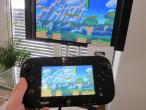 Die Spiele für die Wii U werden nicht 100 US-Dollar kosten. (1)