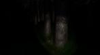 Slender: The Arrival soll wieder sehr gruselig werden. (5) Slender: The Arrival soll wieder sehr gruselig werden. (5)