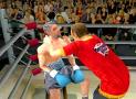 Bild 2 zu Knockout Kings 2001