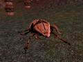 Bild 3 zu Everquest: Shadows of Luclin