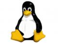 Bild 2 zu Linux