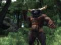 Bild 4 zu The Elder Scrolls 4: Oblivion