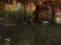 Bild 3 zu Jade Empire