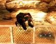 Bild 4 zu Alpha Protocol