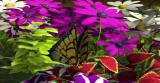 Bild 3 zu My Garden