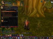 World of Warcraft