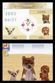 Nintendogs - Chihuahua & Friends