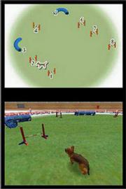 Nintendogs - Chihuahua & Friends