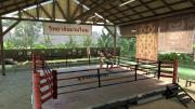 MMA: Mixed Martial Arts