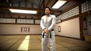 MMA: Mixed Martial Arts