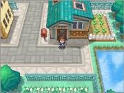 Pokémon Schwarz & Weiss 2. (10)