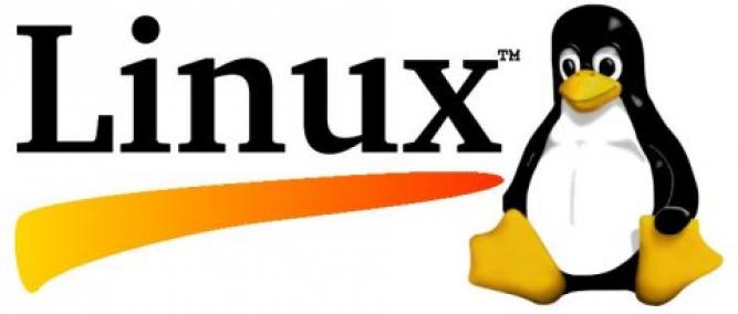Steam für Linux erneut bestätigt
