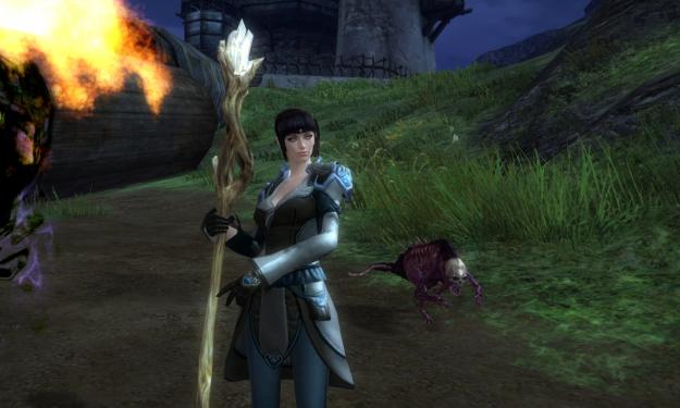 Arenanet warnt die Spieler vor einer Fake-Seite zu Guild Wars 2. (1)