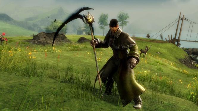 Viele Spieler können Guild Wars 2 wegen Fehler 9 nicht starten. (5)
