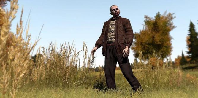 DayZ wird von Bohemia Interactive weiterentwickelt und unter der Leitung des Modders Dean Hall zum Standalone-Titel ausgearbeitet. 