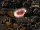 Divine Divinity: Neuauflage über Steam erschienen