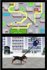 Nintendogs - Chihuahua & Friends: Ungewohnt, aber sehr spassig - Leser-Test von Seewi