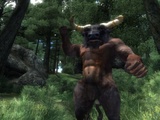 The Elder Scrolls 4: Oblivion - Hoffnungsträger - Leser-Test von sinfortuna