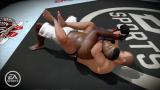MMA: Mixed Martial Arts im Gamezone-Test