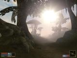 The Elder Scrolls 3: Morrowind - Gut gelungenes Rollenspiel  - Leser-Test von titus6868