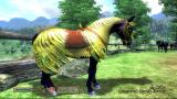The Elder Scrolls 4: Oblivion - Oblivion – Mittelalterliches RPG mit umfangreichen Inhalten - Leser-Test von gesicht