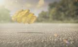 WipEout 2048 - Entwicklervideo zum Intro