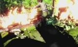 Far Cry 3: Flucht aus einem brennenden Hotel im Video