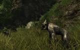 Risen 2: Dark Waters - Die Bestien des Rollenspiels im neuen Video
