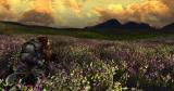 Der Herr der Ringe Online: Neue Infos zu Update 11, das in Kürze erscheint