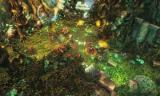 RAW: Realms of Ancient War - Trailer zeigt alle Features