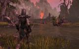The Elder Scrolls Online: Wird auf der PAX East 2013 spielbar sein und neue Infos