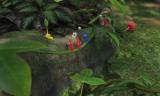 Pikmin 3: Neuer Gameplay-Trailer