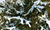 CryEngine 3: Schöner Winter-Trailer zum SDK-Update 3.4.4