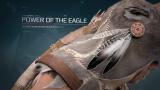 Assassin's Creed 3: Die Tyrannei von König Washington - Adlerkraft Trailer