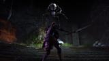 The Elder Scrolls Online: Soll sich von der Konkurrenz abheben