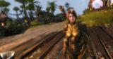 Guild Wars 2: Das Fest des Drachen-Gepolters wird gefeiert