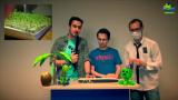 Better Together 11: Wachsen Kräuter in einer Tastatur? Das Kresse-Experiment und mehr!