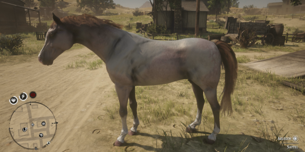 RDR2 Tipp: So erhaltet ihr die besten Pferde.