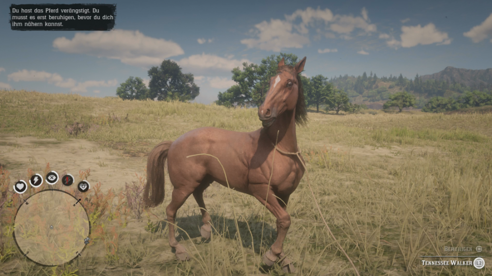 Red Dead Redemption 2: Alles rund um Pferde - Rassen, Klassen, Werte und Pflege im ultimativen Guide