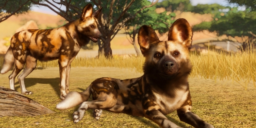 Planet Zoo in der E3-Vorschau (2).