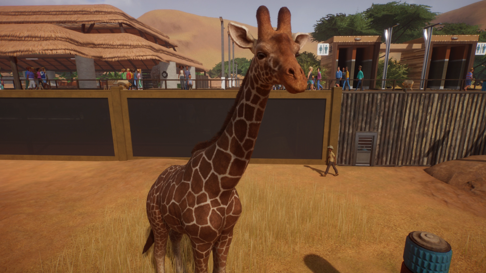 Planet Zoo: Liebevoll, umfangreich, aber mit technischen Problemen - Test der Tierparksimulation