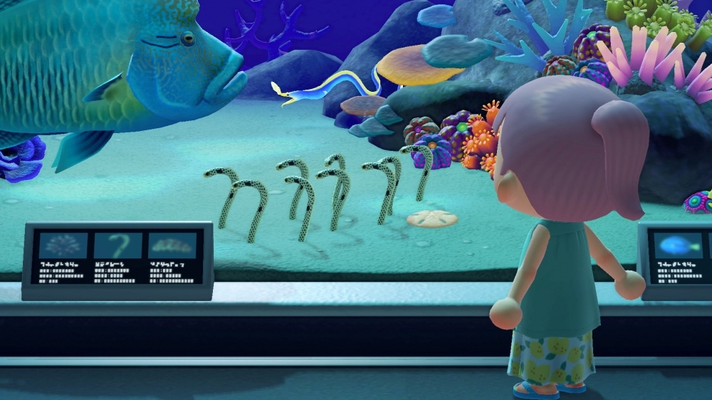 Animal Crossing: New Horizons: Fangt alle Fische, Meerestiere und Insekten - der Guide-Sammelartikel für alle Monate