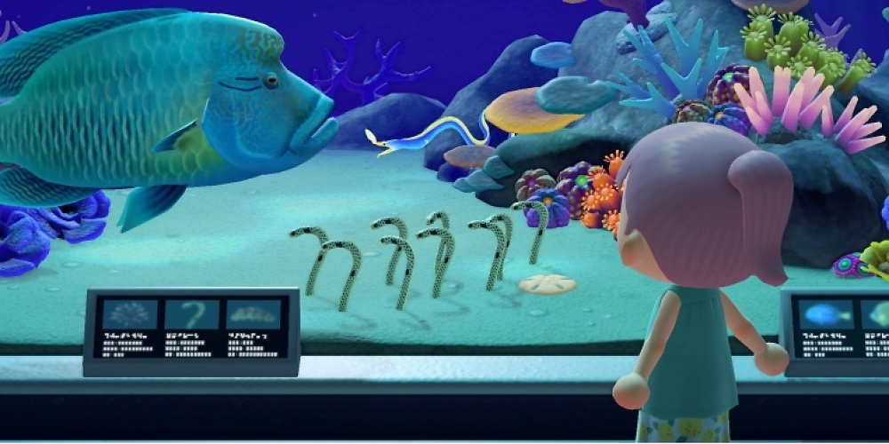 Animal Crossing: New Horizons - So findet ihr alle Meerestiere - Tipps zu Fundort, Jahreszeit, Wert im Guide (1)