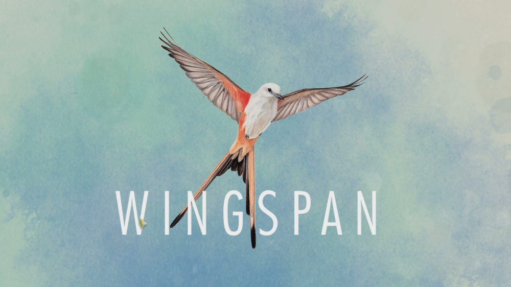 Wingspan im Test: Brettspiel-Adaption frisch aus dem Ei gepellt