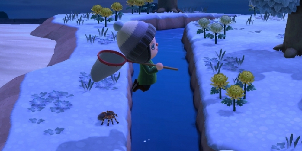 Animal Crossing: New Horizons: Monatsguide November - Fundorte aller Insekten, Fische und Meerestiere (1)
